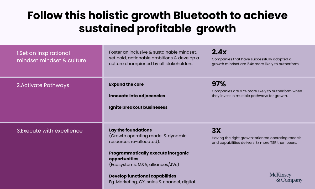 Follow this holistic growth Bluetooth to achieve sustained profitable  growth